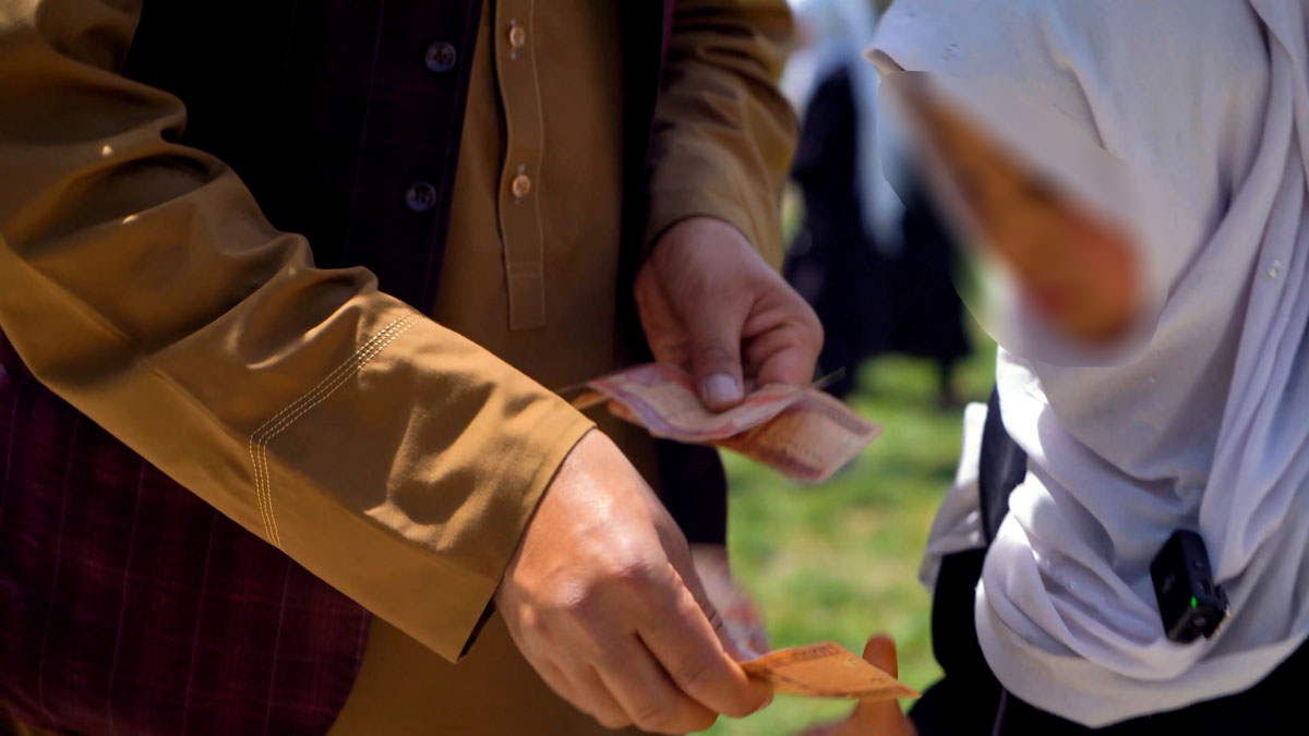 campaign image
